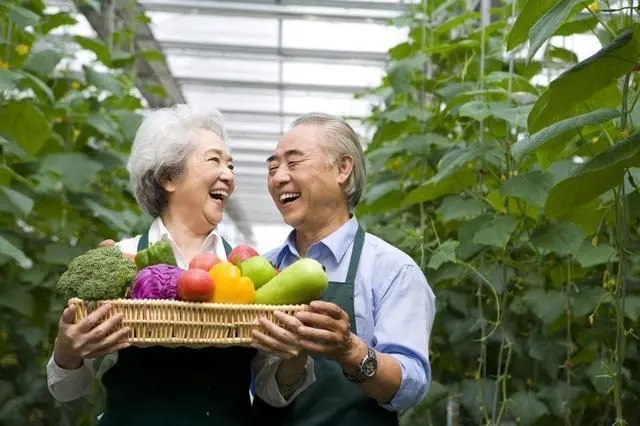 如何规划养老？老年生活怎么得到保障